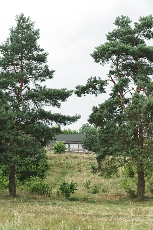 Domki W Lesie Gdansk 35 Km Bozepole Krolewskie Exterior foto